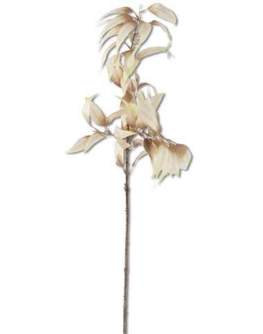 Cream Eucalyptus Branch w/ Pods, 48 inch
