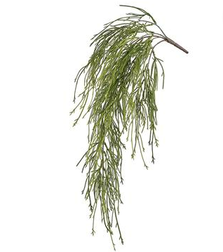 29.5" Club Moss Fern Hanging Bush