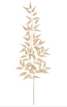 36" Velvet Italian Ruscus Spray