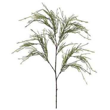 43" Club Moss Fern Spray