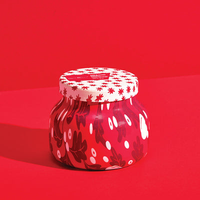 Apple Cider Social Holiday Pattern Play Petite Jar