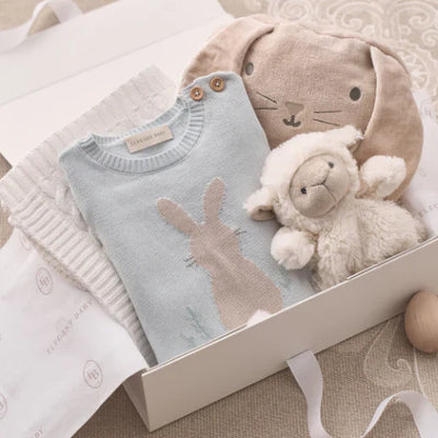 Boys Bunny Shortall