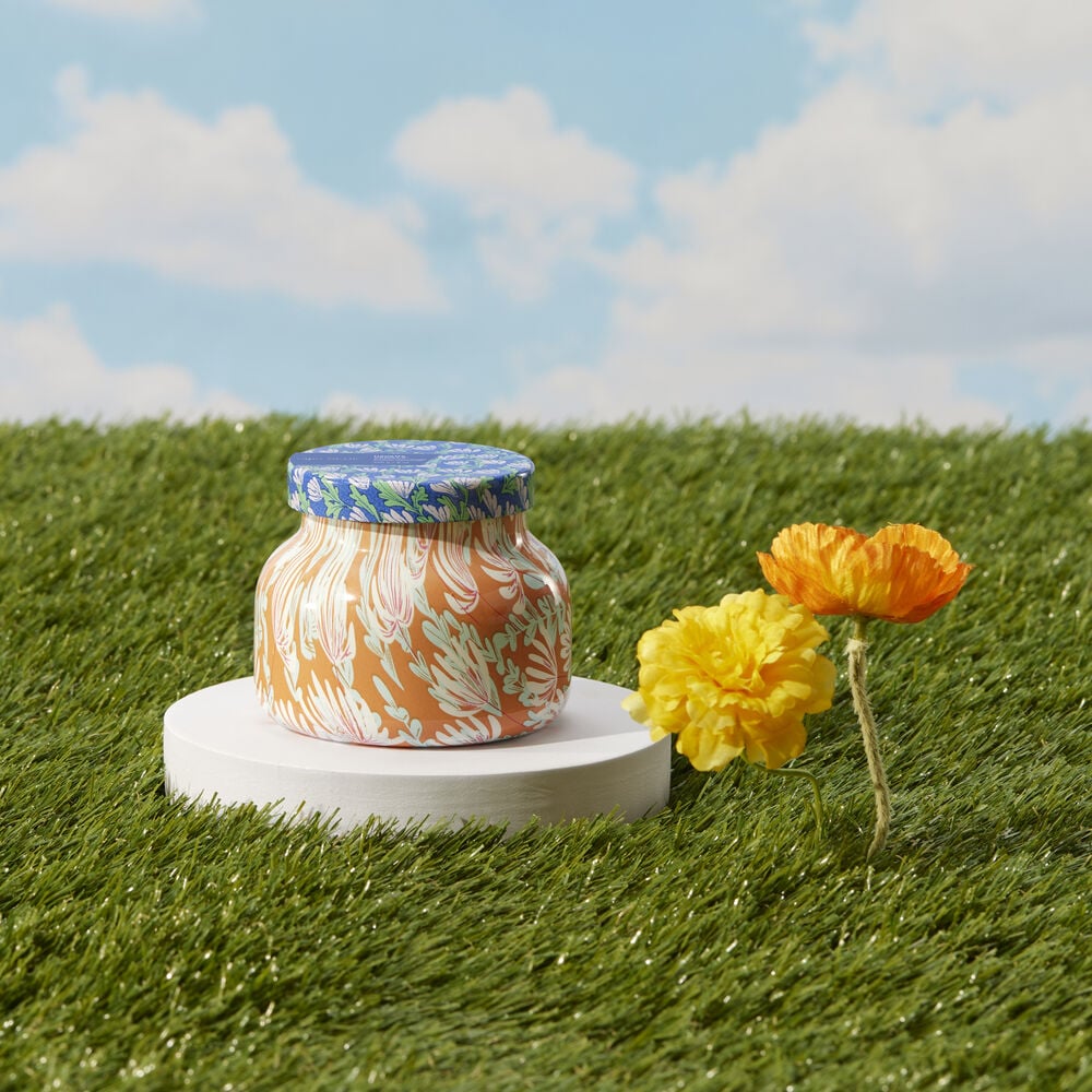 HAVANA VANILLA PATTERN PLAY PETITE JAR, 8 OZ