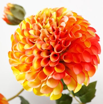 31" Dahlia Spray - Sunset
