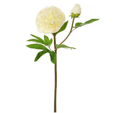 26" Real Touch Peony Spray - White