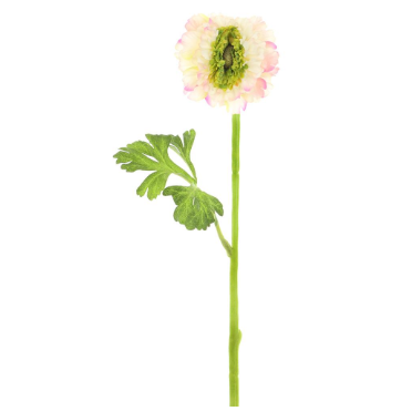 17.5" Ranunculus Spray - Pink/Green