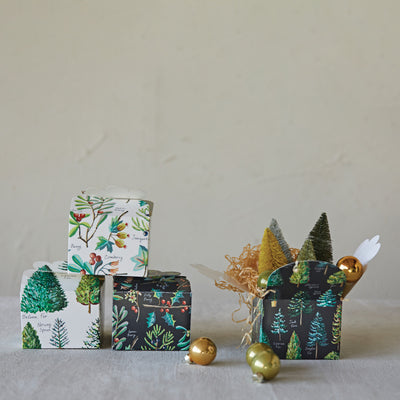 4" Square x 3"H Recycled Paper Interlocking Gift Box w/ Evergreen Botanicals