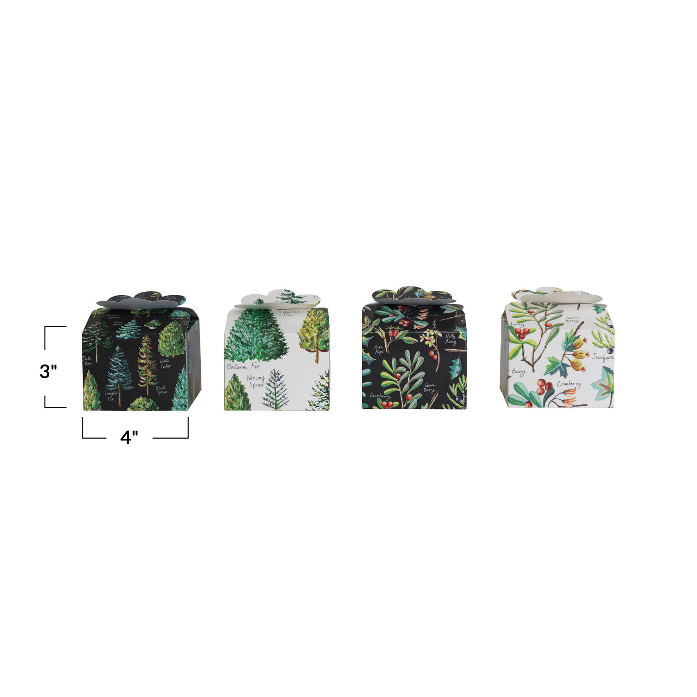 4" Square x 3"H Recycled Paper Interlocking Gift Box w/ Evergreen Botanicals