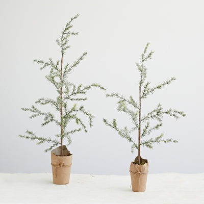 17-3/4" Round x 41-1/4"H Faux Atlas Cedar Tree in Paper Wrapped Pot