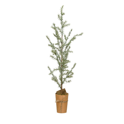 17-3/4" Round x 41-1/4"H Faux Atlas Cedar Tree in Paper Wrapped Pot