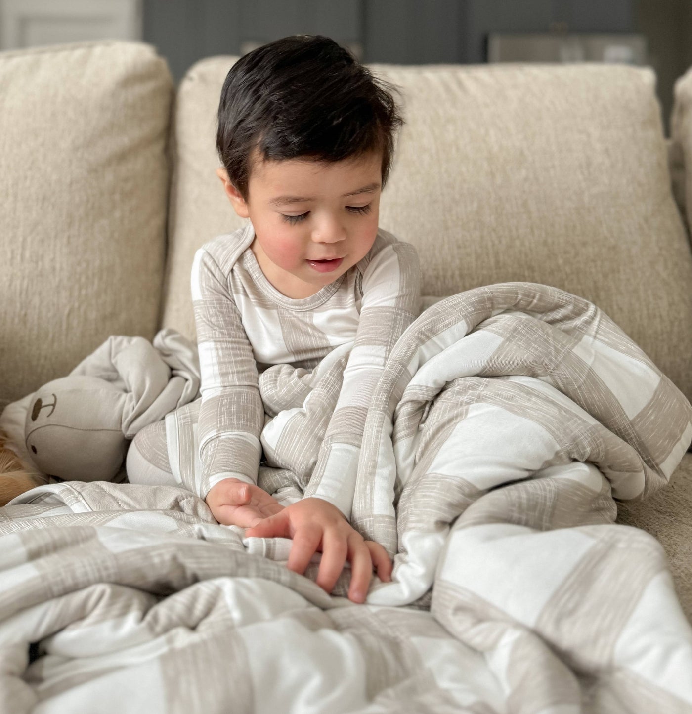 Picnic Cloud Comforter Blanket