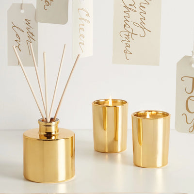 Frasier Fir Reed Diffuser, Petite Gold