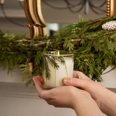 Frasier Fir Poured Candle, 6.5 oz Pine Needle