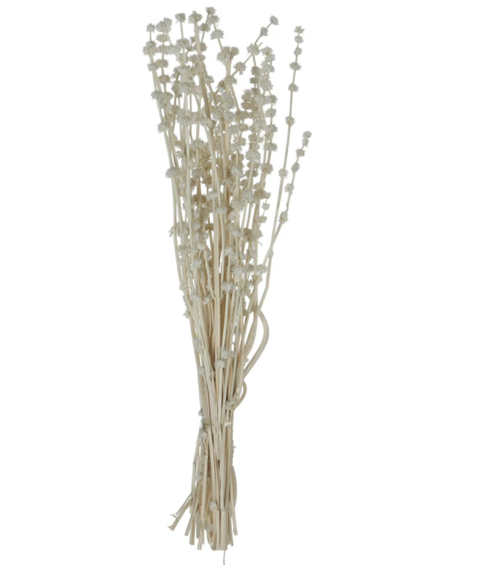Dried Natural Lion's Tail Bunch