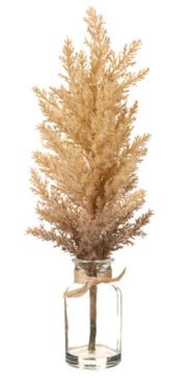 16.5" Pampas Grass in Glass Vase