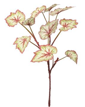 23.5" Begonia Leaf Spray