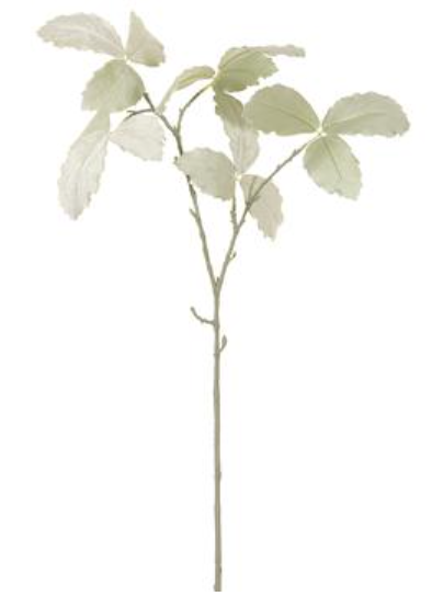 34" Velvet Leaf Spray