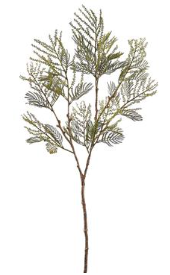 44" Acacia Spray