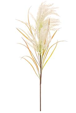 49" Pampas Grass Spray Cream
