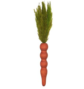 10.6" Carrot