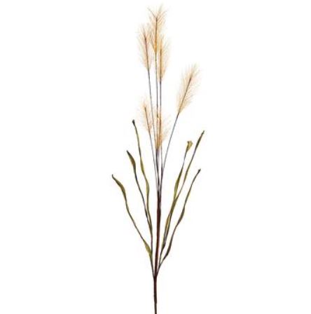 Pampas Grass Spray in Tan