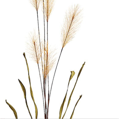 Pampas Grass Spray in Tan