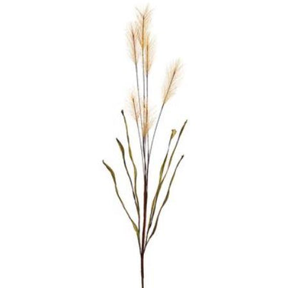 Pampas Grass Spray in Tan