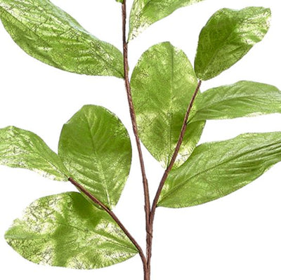 Metal Magnolia Leaf Spray in Green