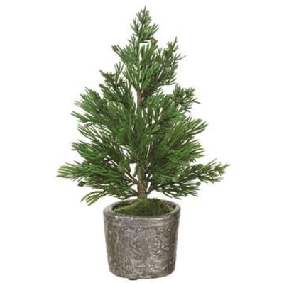 10.5" Potted Juniper Tree