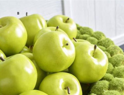 4" Green Apple