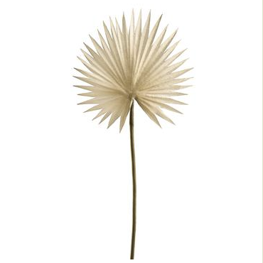 15.5" Fan Palm Spray