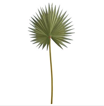 15.5" Fan Palm Spray