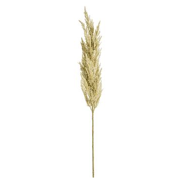 46" Pampas Grass Spray