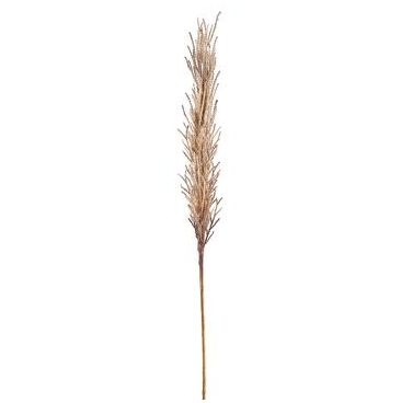 32.5" Pampas Grass Spray