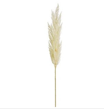 46" Pampas Grass Spray