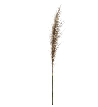 46" Reed Grass Spray