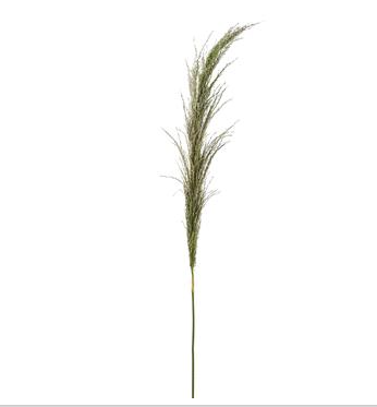 46" Reed Grass Spray