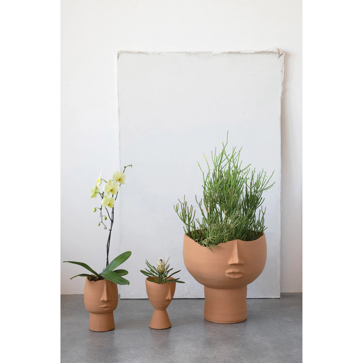 Terracotta Face Planter