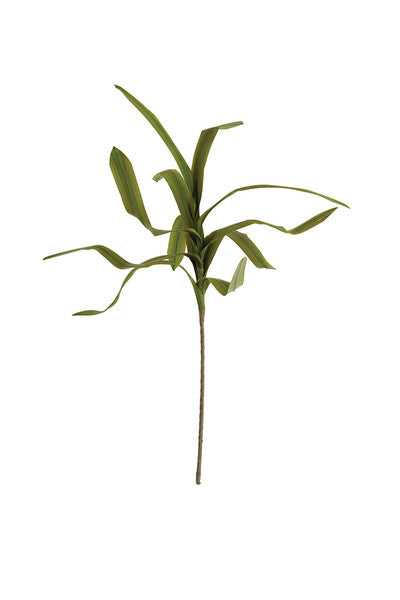 Green Botanical