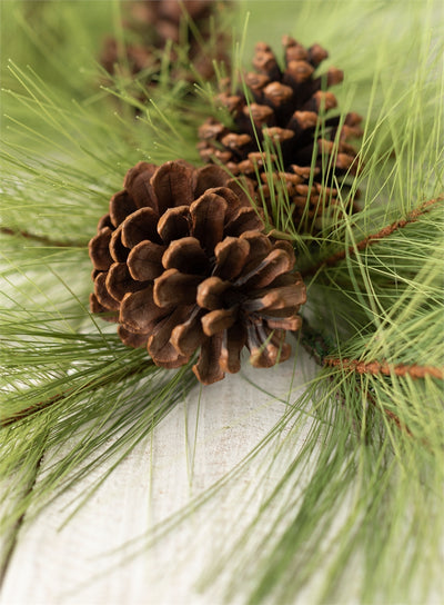 Long Needle Pine Garland