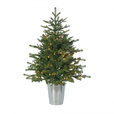 Potted Spruce Tree